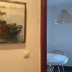 Mirador De Baztarre *